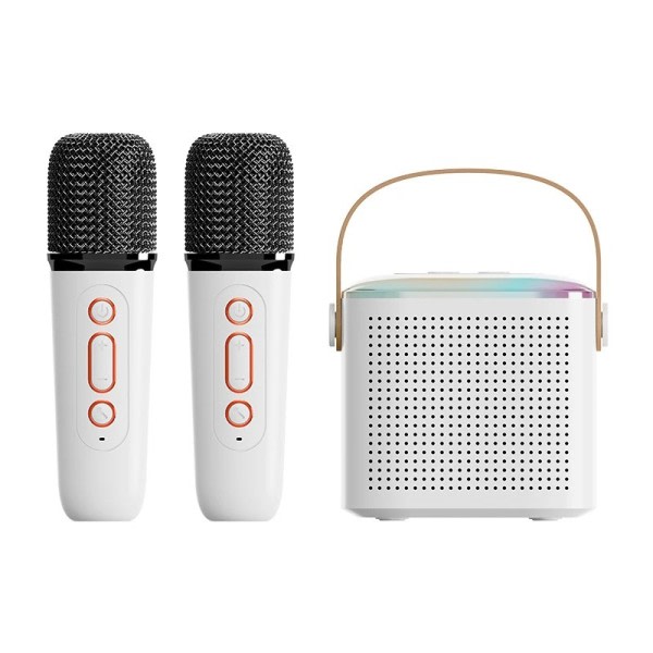 Kannettava langaton kaksi mikrofoni karaoke kone Bluetooth PA kaiutin KTV DSP järjestelmä HIFI stereo ääni RGB värilliset LED valot
