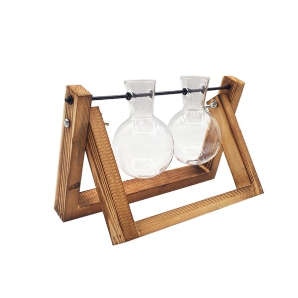 Creative Hydroponic Plant Transparent Vase Tre Frame vase