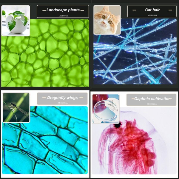 Zoom Barn Mikroskop Biologi Lab LED 1200x Skole Vitenskap Eksperiment Kit Utdanning Vitenskapelig Leker