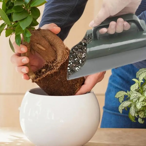 Sukkulent Plant Transplantering Spade Potte Sukkulent Plante Transplantering Spade Sukkulent Transplantering Verktøy Hage Scoop