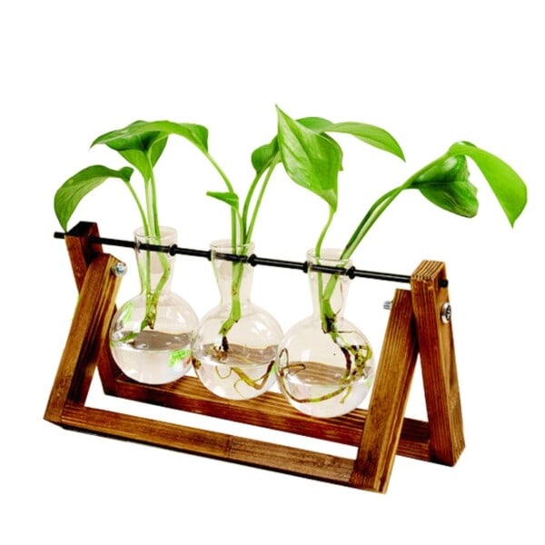 Creative Hydroponic Plant Transparent Vase Tre Frame vase