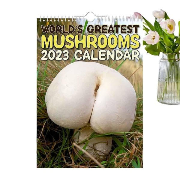 Svamp Hängande Vägg Kalender Lätt att riva av Hängande Vägg Kalender Med Månadsvyer Och Planer