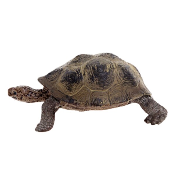 3,4 tum jätte sköldpadda vild liv djur leksak sköldpadda figur