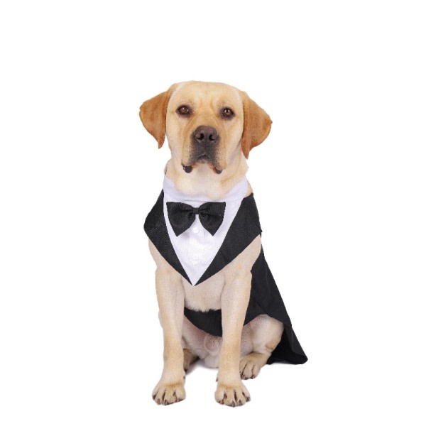 Kjæledyr hund klær mote fest show formell dress slips sløyfe skjorte bryllup  smoking halloween kjole 9823 | Fyndiq