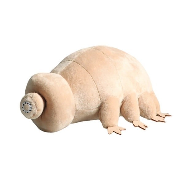 25CM Søtt Tardigrade Plysj Leketøy Mykt Fylt Dyr Leketøy Nydelig Vann Bjørn Insekt Dukke Barn Pedagogisk leketøy