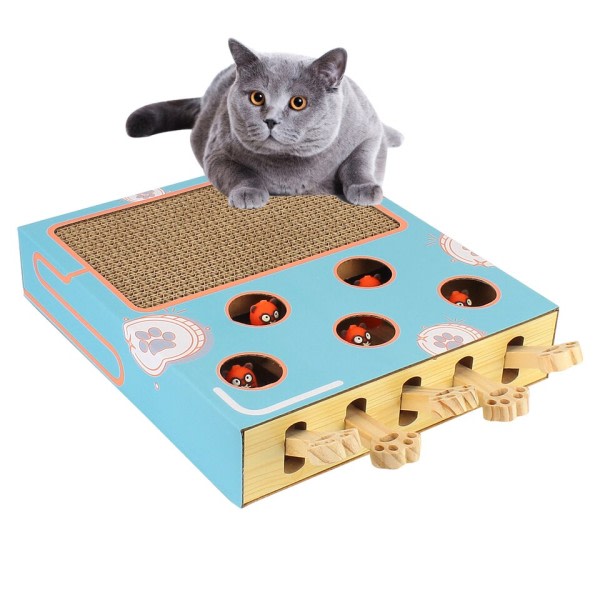 Funny Cat Stick Kitten Hit Gophers Maze Interactive  Educational Game Box With Scratcher