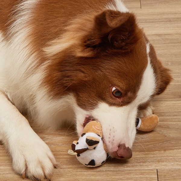 Kæledyr tygge legetøj hvalpe molar dyr form bidemodstandsdygtig legetøj hund træning plys legetøj hund tilbehør