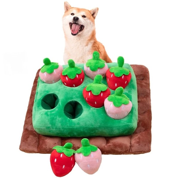 Koira lelut porkkana pehmo lelu koirille nuuska matto lemmikki kasvi puru lelu koirille
