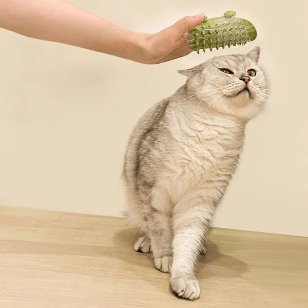 Kjæledyr katt hårfjerning massasje kam katter kløer gnidning børste