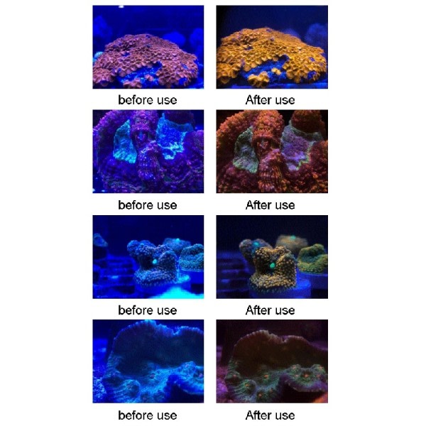 Akvarium linse fisk tank telefon kamera linse filter 4 i 1 makro linse