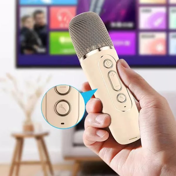 K12 Karaoke Maskin Bärbar Bluetooth 5.3 PA Högtalarsystem med 1-2 Trådlösa mikrofoner