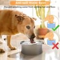 3-liters stor skål i rustfrit stål til langsom drikning – ingen dryp, intet spild