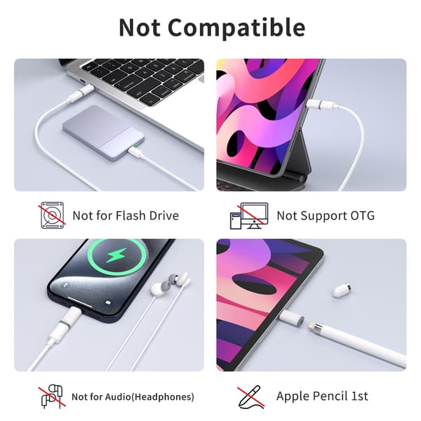 INF Lightning (hun) til USB-C (hann) adapter
