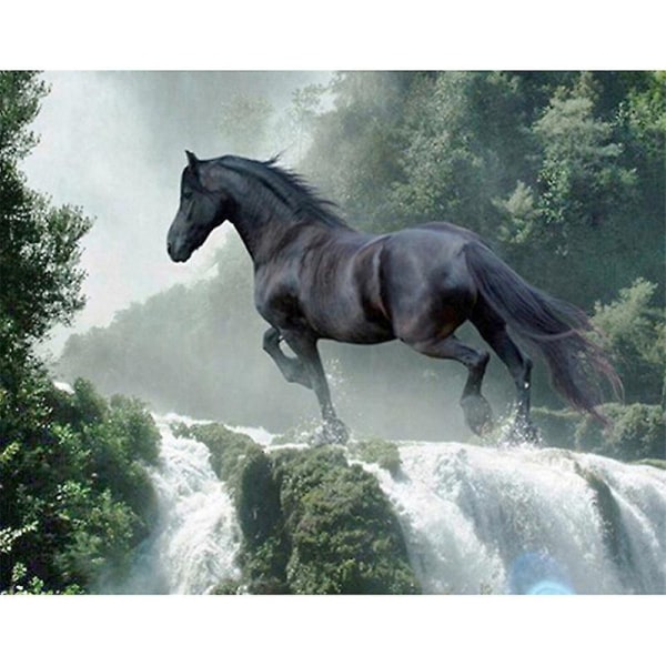 Dww-30x40 Cm Peinture Diamant 8d DIY Complet, Diamond Draw Rund Diamond Black Horse, Diy Diamond St00