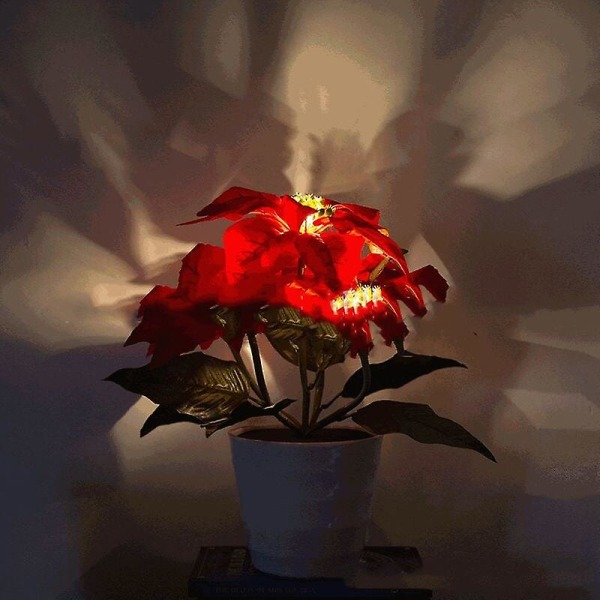 Solar 5led Safflor, Blomkruka Plant Light