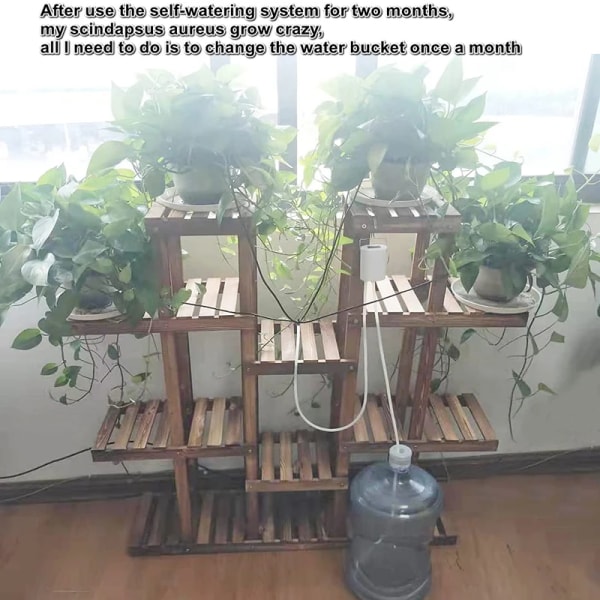 Huvud Automatisk bevattningspump Styrenhet Blomplanta Hushållsdroppbevattning Utrustning Pump Timer System Trädgårdsredskap