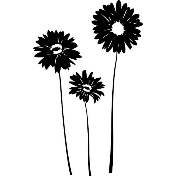 Väggdekor - Vackra blommor