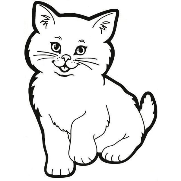 Väggdekor - Katt