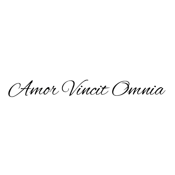 Väggord - Amor Vincit Omnia
