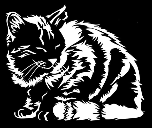 Väggdekor - Katt vit