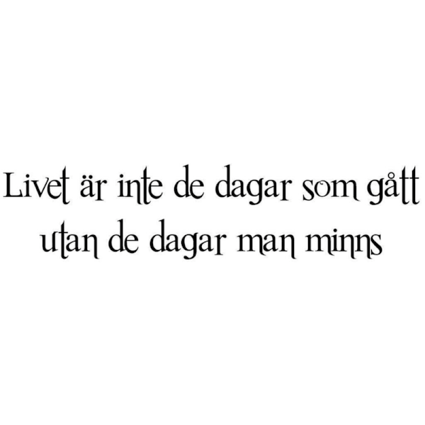 Väggdekor/Väggord - Livet är inte...
