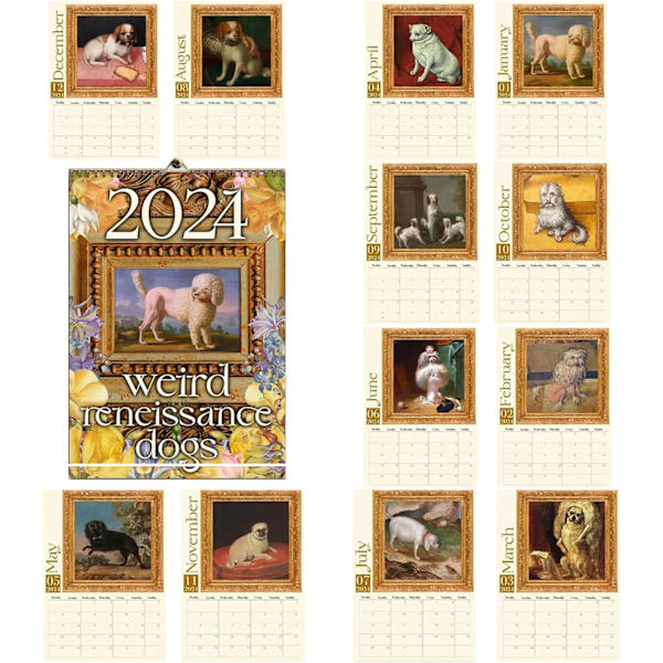 Weird Medieval Cats Calendar 2024, Funny Cat Wall Calendar 20242025
