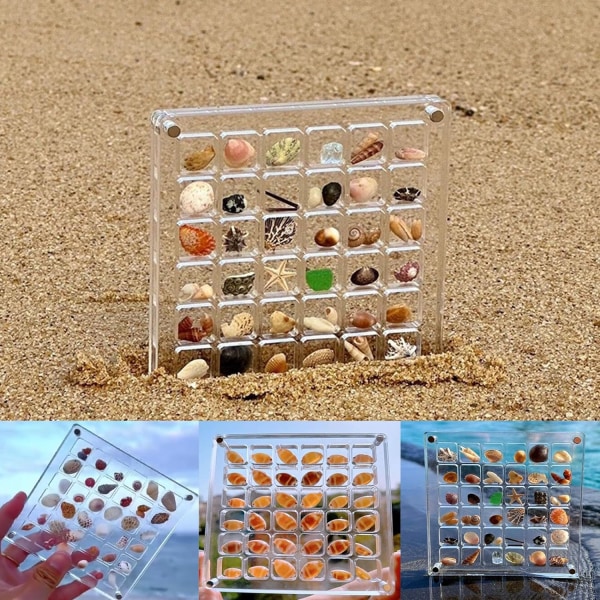 Akryl Magnetisk Seashell Display Box, Seashell Oppbevarings Box Display Case Dekorativ Seashell Sjøstjerne Trinket, Small Craft Organizer Container 64 Rutnät
