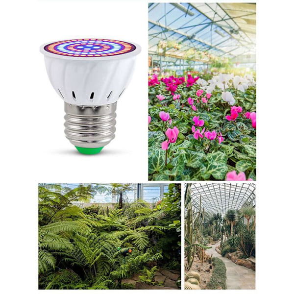 2X E27 80 LED Vækstlampe LED Vækstlys Lamper Fuld Spektrum Phyto Blomsterfrøplante til Indendørs Hydroponiske Planter
