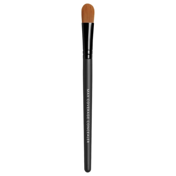 Bare Minerals Max Coverage Concealer Brush Transparent