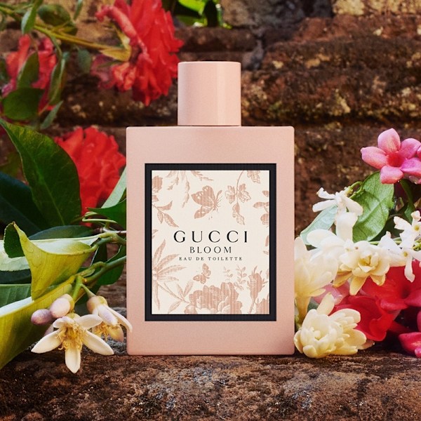 Gucci Bloom Edt 50ml Pink