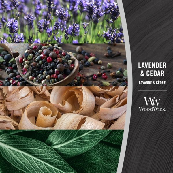 WoodWick Medium - Lavender & Cedar Transparent