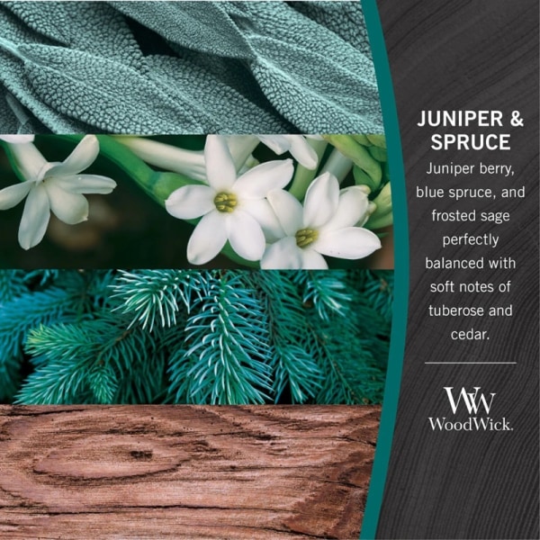 WoodWick Large - Juniper & Spruce Transparent