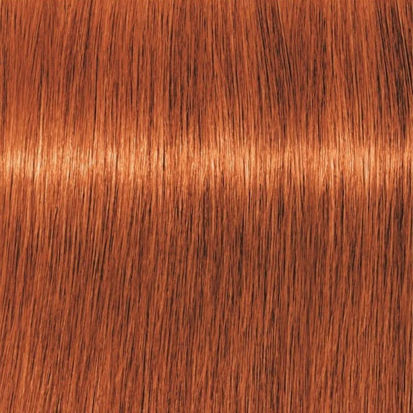 Schwarzkopf Professional Igora Vibrance Kit 7-77 Medium Blonde Copper Extra Transparent