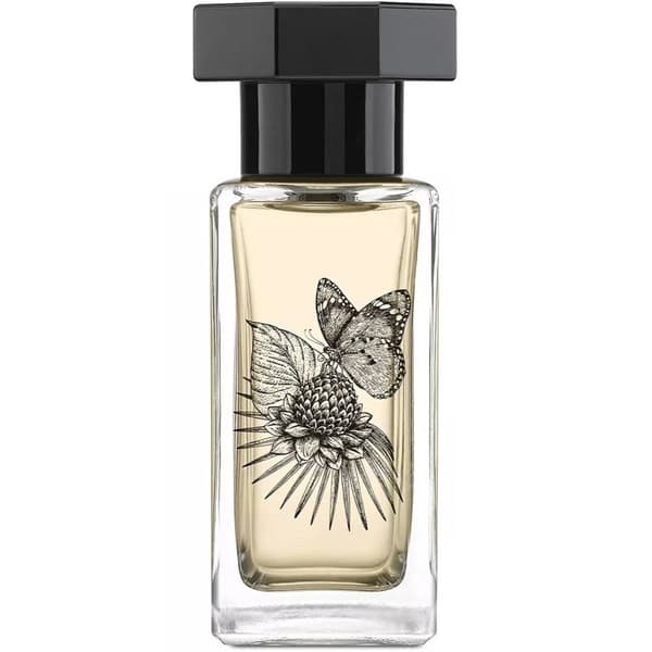 Le Couvent Singulière - Lysandra Edp 50ml Gul