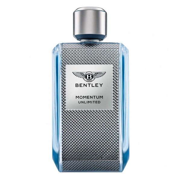 Bentley Momentum Unlimited Edt 100ml Multicolor