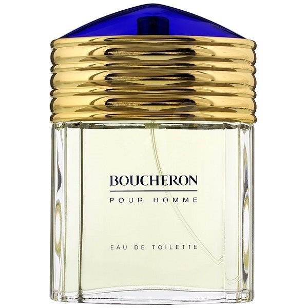 Boucheron Pour Homme EdT 100ml Transparent