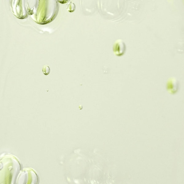 Beauty of Joseon Calming Serum Green Tea + Panthenol 30ml Transparent