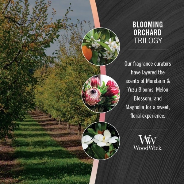 WoodWick Trilogy Large - Blooming Orchard multifärg