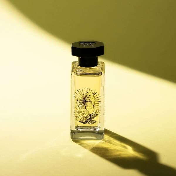 Le Couvent Singulière - Nubica Edp 50ml Gul
