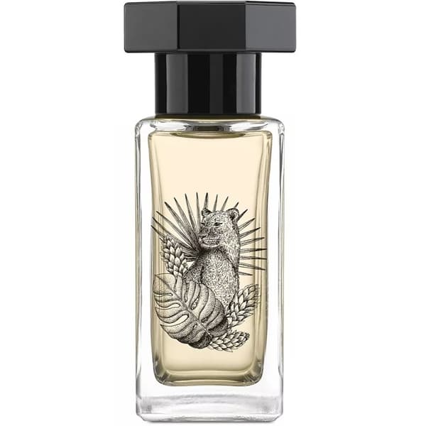 Le Couvent Singulière - Nubica Edp 50ml Gul
