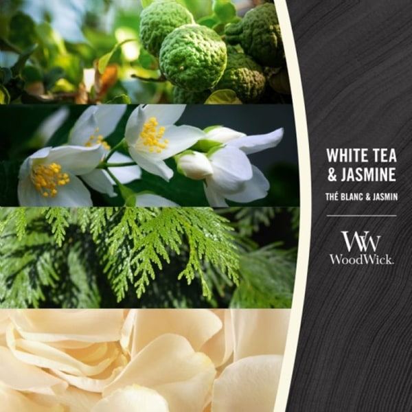 WoodWick Large - White Tea & Jasmine Transparent