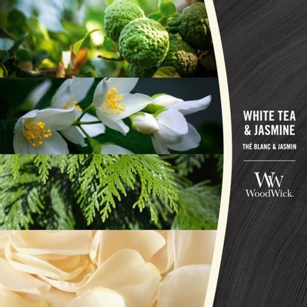 WoodWick Medium - White Tea & Jasmine Transparent