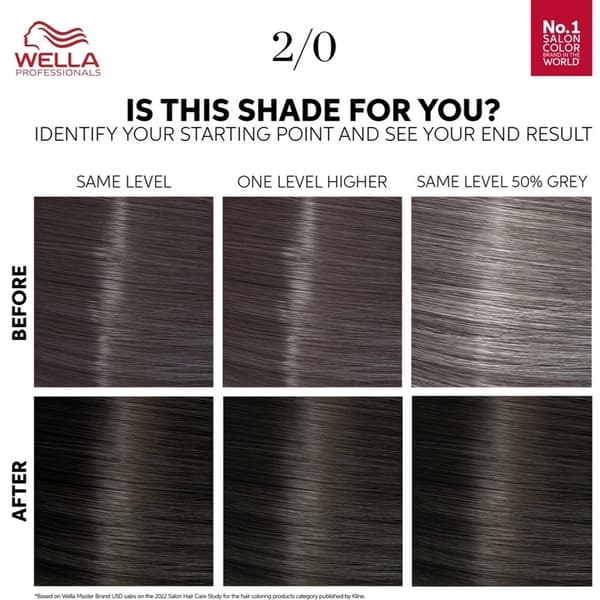 Wella Color Touch Pure Naturals 2/0 Black Brown