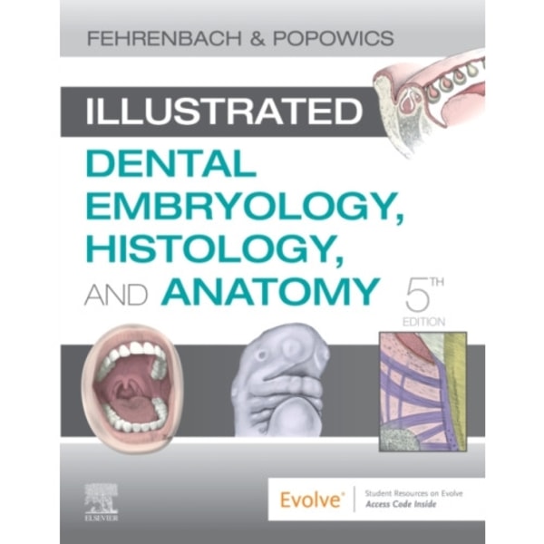 Illustrated Dental Embryology, Histology, and Anatomy (häftad, eng)