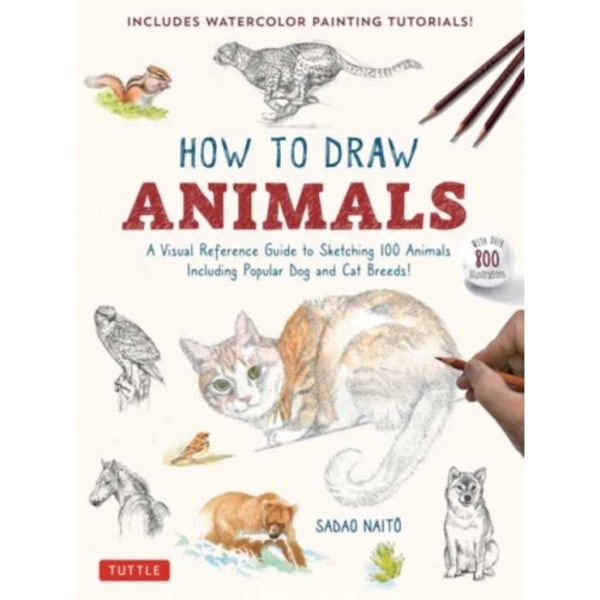 How to Draw Animals (häftad, eng)