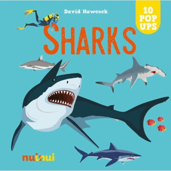 Sharks (inbunden, eng)