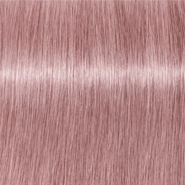 Professional Igora Vibrance Kit 9.5-19 Cendré Violet Toner