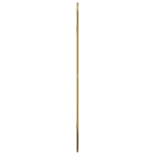 Väggspegel guld 60x40 cm