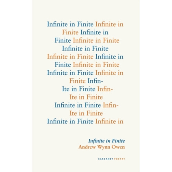 Infinite in Finite (häftad, eng)