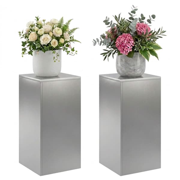Växtställ 2 pcs Silver 30 x 30 x 60 cm Rostfritt stål